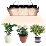 FUFRE Pflanzenlampe LED Vollspektrum 300W Grow Lampe, Pflanzenlicht Zum Überwintern Winter Pflanzenleuchte Wachstumslampe Leicht Pflanzenwachstumslicht für Pflanzen Wachstum im Gewächshaus (Typ A)