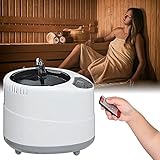 PaNt Sauna Dampferzeuger 2L, Tragbare Leichte Dampfsauna Begasungsmaschine mit Fernbedienung Saunadampfer Topf Edelstahl Intelligente mit Timer-Display zum Abnehmen, Toxin E