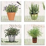 Artland Leinwandbilder auf Holz Wandbild Bild Set 4 teilig je 20x20 cm Quadratisch Natur Pflanzen Creme Kräuter Lavendel Rosmarin Salbei Thymian J6Q