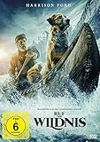 Ruf der Wildnis [DVD]