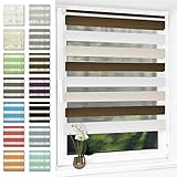 Doppelrollo klemmfix Duo Rollo ohne Bohren,Rollos für Fenster und Tür,lichtdurchlässig und verdunkelnd 60 x 120 cm(BxH) Weiß-Beige-B