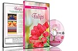 Tulpen Blumen DVD - Blumen von Holland, Videos zur Entspannung