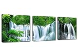 Visario Leinwandbilder 4212 Bilder auf Leinwand Bild 150 x 50 cm Wasserfall drei T