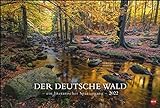 Der deutsche Wald Edition: Mit Zitaten deutscher Klassik