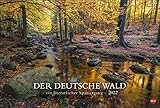 Der deutsche Wald Edition: Mit Zitaten deutscher Klassik