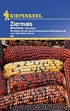 Kiepenkerl 880 Ziermais Mischung (Ziermaissamen)