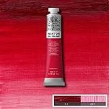 Winsor & Newton Winton Oil Colour Permanent Alizarin Crimson 200