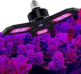 HTDHS LED-Pflanzenlampe Volles Spektrum E27, Sonnenlichtlampe, Wachsen-Lampe, Pflanzenlicht-Pflanzenlampe LED wasserdichte Wärmeableitung, für Innenpflanzen Gartenbonsai, Rotblau, 144 LED