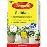 Aeroxon - Gelbfalle - Gelbtafeln - 10 Stück - für Topf, Garten und Balkon - fängt die geflügelten Blattlaus, Thripse, Trauermücke und weiße Flieg