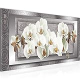 Wandbilder Blumen Orchidee 1 Teilig Modern Vlies Leinwand Wohnzimmer Flur Abstrakt Grau Beige 205412b