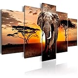 decomonkey Bilder Afrika Tiere 200x100 cm 5 Teilig Leinwandbilder Bild auf Leinwand Wandbild Kunstdruck Wanddeko Wand Wohnzimmer Wanddekoration Deko Elefant Landschaft Sonnenuntergang