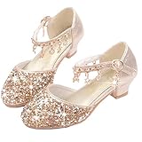 YOGLY Mädchen Prinzessin Schuhe Glitzer Sandalen Flamenco Schuhe Kinder Partei Ballerina Kristall Schuhe Hochzeitsschuhe Karneval Verkleidung Party Kostümschuhe EU33