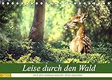 Leise durch den Wald. Sich Zeit nehmen und der Stille lauschen (Tischkalender 2022 DIN A5 quer)