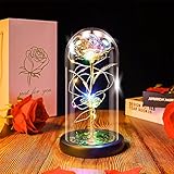 Die Schöne und das Biest Rose Lampe in der Glaskuppel, Ewige Rose Kunstblume mit LED-Licht Geschenk für Frauen Mädchen zum Geburtstag Valentinstag Weihnachten Hochzeitstag (Gold, schwarzer Sockel)
