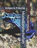 Kröten & Frösche - Modelllandschaften - Foto-Sammlung