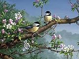 GUIBSGS 1000-teiliges Puzzle für Erwachsene Singvogel mit schönen Blumen Jedes Teil ist einzigartig, Technologie bedeutet, DASS die Teile perfekt zusammenpassen 38x26