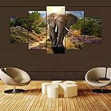CJWLH 5-teiliger Kunstdruck auf Leinwand Tier Elefant Sonnenuntergang Berg Blumengras Wandbild Öl-Landschaftsbilder für zuhause Moderne Dekoration für Wohnzimmer 30x40cm 30 x 60 m 30x80