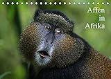 Affen in Afrika (Tischkalender 2022 DIN A5 quer)