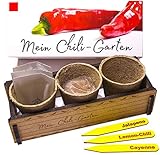 Mein Chili Garten - Ein originelles Geschenk für jeden Anlass. Ideales Chilianzucht-Set als Geschenk zu Weihnachten, Vatertag, Muttertag, Geburtstag oder O