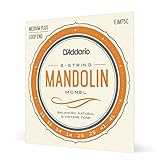 D'Addario EJM75C Monel-Saiten für Mandoline, mittlere Spannung (Medium Plus), 11-41
