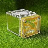 YLWL Mini Ameisennest Acryl Ameisenhaufen Nest Transparente Ameisenfarm Ameisen Villa Haus Geschenke gelb 7,7 * 6 * 5,3