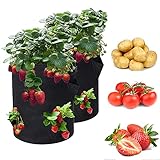 Erdbeere Pflanzsack，Garten-Pflanzbeut Outdoor-Vlies-Textil-Pflanzenbeutel für erdbeeren Pflanzen Kartoffel Tomate Blume mit stabilen Griffen und Sichtfenster，2 Stück 10 G