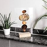 K&L Wall Art Glasbild Fotohalter Tischaufsteller Acrylglas mit Motiv Holzfuß Eiche Feng Shui Steine Gold Fredriksson 10x15