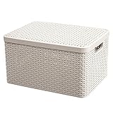 XJJZS Aufbewahrungsbehälter mit Deckel, große Kunststoff-Rattan Weben Rectangle Leicht Robust Hohl Tragbarer Container Bins (Color : B)