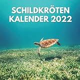 Schreibtisch Kalender 2022: Ein Monatskalender mit Bildern der Schildkröten für Schreibtisch, Büro, ideal zum Schreiben von Terminen, Geburtstagen, ... ... Ideen für Männer, Frauen, Mädchen,