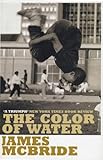 The Color of Water: A Black Man's Tribute to His White M
