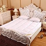 ZJWAI Faltende Futon-Bodenmatratze Japanische Folding-Futon-Matratze Verdicken Tatami-Matte Tragbare Bodenschlafzimmer Schlafsaal Schlafzimmer Bett Matratze Pad Topp