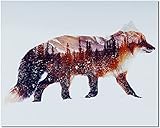 Bougimal Malen Nach Zahlen Erwachsene, Schönes Fuchs Bild ohne Rahmen 40 x 50