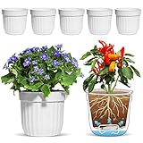 T4U Φ18CM Selbstwässernder Blumentopf Kräutertopf Weiß 6er-Set, Selbstbewässerung Wasserspeicher Pflanzgefäß Übertopf für Innen- und Außenb