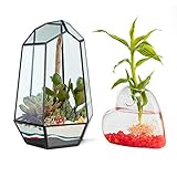 TIKIBOSA Glas-Terrarium für Pflanzen mit herzförmigem Übertopf – 9,8 x 6,3 x 6,3 Zoll großes geometrisches Terrarium Kit für Sukkulenten, Kakteen, F