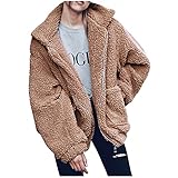 LIEIKIC Plüschjacke Damen Reißverschluss Pullover, Plüsch Mantel Künstliche Wolle Jacke Parka Outwear Frauen Kurze Coat Teddy Fleece Pulli Einfarbig Beige S-3XL