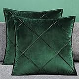 Matty-LZ 2er Set Samt Einfach Weicher Kissenbezug Hochwertige Qualität Set, Dekorativ Sofa Kissenbezug Kissen Kissenhülle (18x18 Zoll / 45x45 cm, Grün (2er Set))