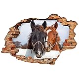 Sticker 3D Effekt | Wandaufkleber Pferd - Tapete Dekoration optische Täuschung Raum und Wohnzimmer | 60 x 90