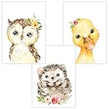 Wandbilder 3er Set für Babyzimmer Deko Poster | Kunstdruck DIN A4 | Dekoration Kinderzimmer (Auf dem Feld Eule Igel Ente)