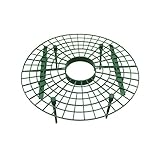 Benelando® 5X Frucht-Reifer Erdbeerreifer Erdbeerstütze Schneckenschutz Erdbeer-Reifer S