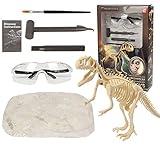 REDO Dinosaurier-Ausgrabungsspielzeug, Dinosaurier-Skelett, Fossil, Ausgrabungs-Set, pädagogisches Spielzeug für Kinder, bestes Geschenk für Jungen und Mädchen (Tyrannosaurus)