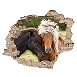Little Deco 3D Wandsticker Wandaufkleber Wandtattoo Kinderzimmer Mädchen Pferd Wanddeko Spielzimmer Wandbild Poster Tapete Schlafzimmer Kleinkind Horse DL639-9