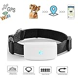 Haustier GPS Tracker, TKSTAR Hund Katze GPS Tracker mit Halsband Anti Verlorene GPS Ortung Echtzeit GPS Tracking Locator Hundehalsband Training GPS Outdoor Navigation mit F