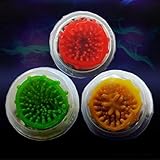 CCIIO Kondome Geripptes gepunktetes Spike Latex g