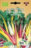 Germisem Mangold RAINBOW MIX, ECBIO7026