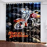 CIOJKG schiebegardinen 2er Set Motorrad Kunst Stein 229X229cm 2 Stücke Gardinen mit Ösen Verdunklungsvorhänge Thermo Vorhang Blickdicht für Schlafzimmer & W