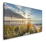 Paul Sinus Art Wilde Strände 120x 60cm Panorama Leinwand Bild XXL Format Wandbilder Wohnzimmer Wohnung Deko Kunstdruck