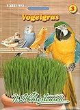 Vogelgras S