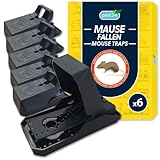 pest24 Mausefalle 6X Mouse Trap, Schlagfalle wiederverwendbar - Mäusefallen für Maus und Ratte - Einfache und sichere Mausefalle Schlagfalle - Köder einsetzen und Mäuse fang