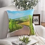 Dekorative Werfen Kissen Abdeckung Weichen Toskana Ländliche Wiese, Landschaft europäischen Feldern, Hügeln Aquarell Sehenswürdigkeiten, Parks, Outdoo für Couch Schlafzimmer Auto 20'x20'