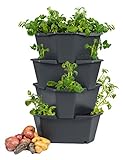 PAUL POTATO Starter Kartoffelturm - 4 Etagen von Gusta Garden - anthrazit/grau - stapelbar - Hochbeet/Pflanzgefäß für Balkon und G